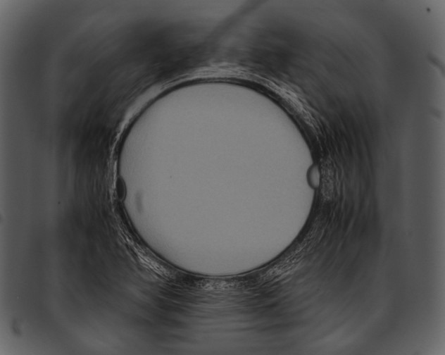 X0000097501366200803201543