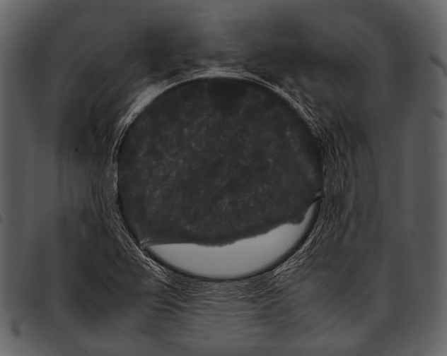 X0000097501367200803201543