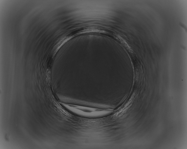 X0000097501369200803201543