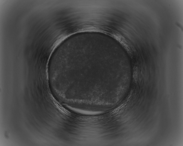 X0000097501372200803201543