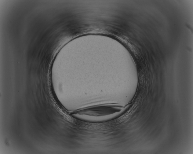 X0000097501375200803201543