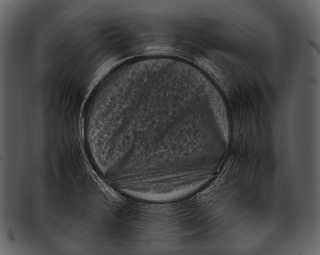 X0000097501376200803201543