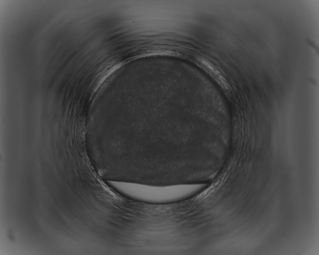 X0000097501377200803201543