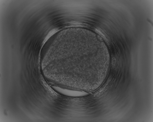X0000097501378200803201543