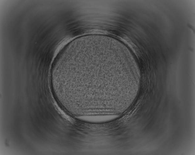 X0000097501379200803201543