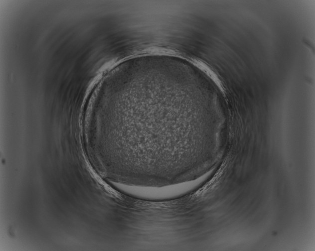 X0000097501381200803201543