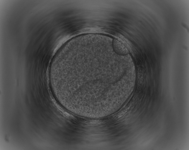 X0000097501382200803201543