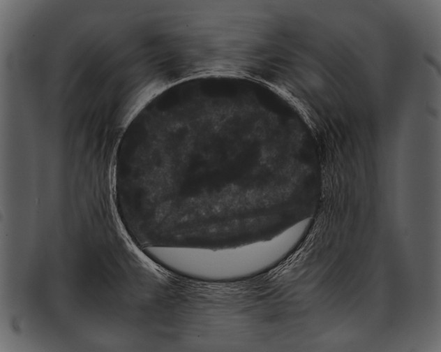 X0000097501383200803201543
