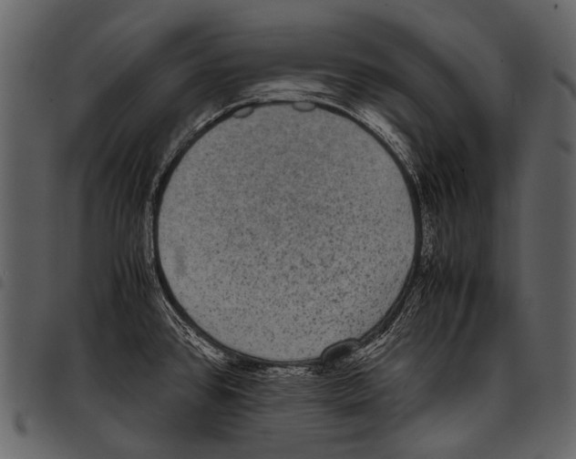 X0000097501384200803201543