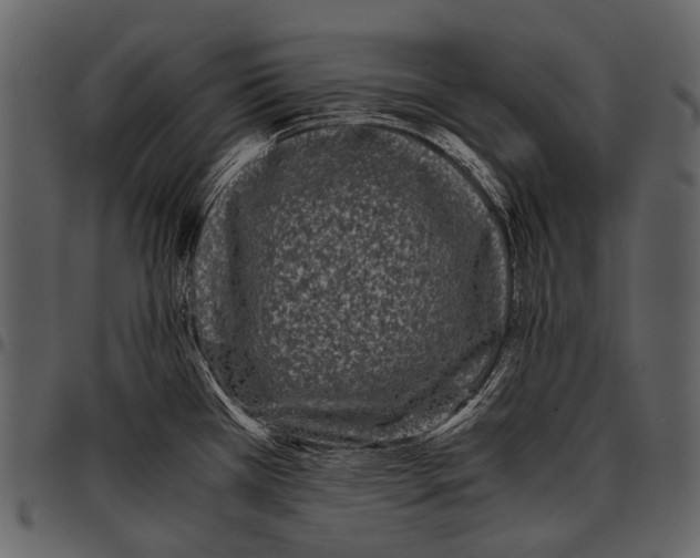 X0000097501385200803201543