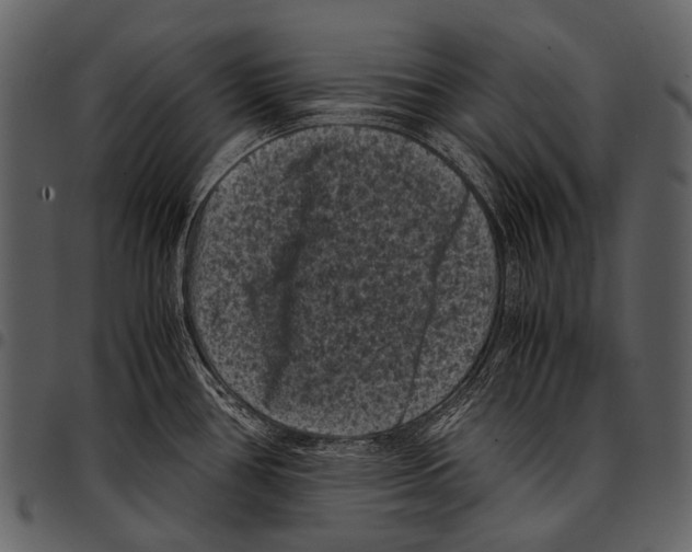 X0000097501386200803201543