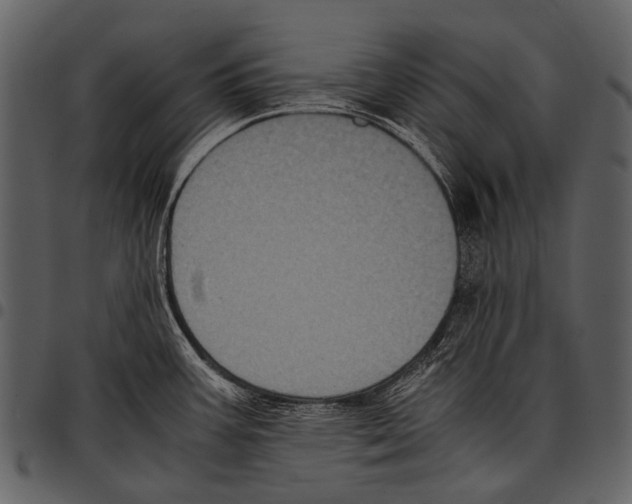 X0000097501387200803201543