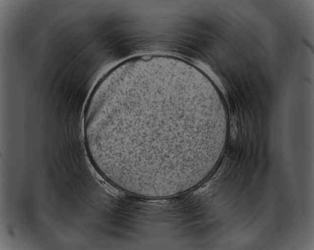 X0000097501388200803201543
