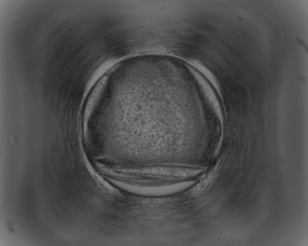 X0000097501389200803201543