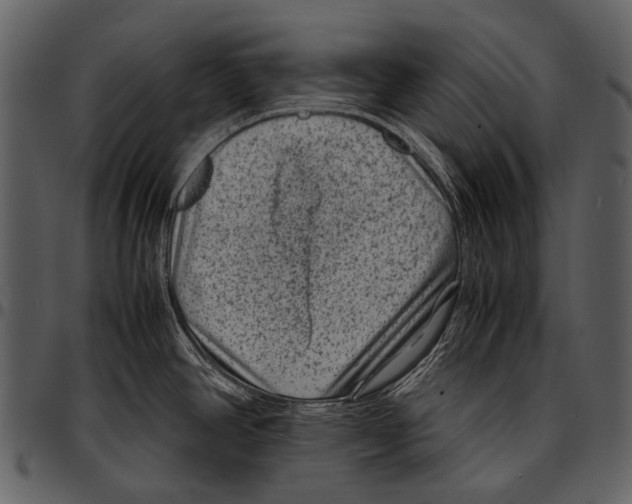 X0000097501390200803201543