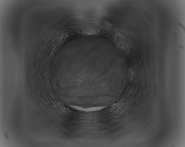 X0000097501393200803201542