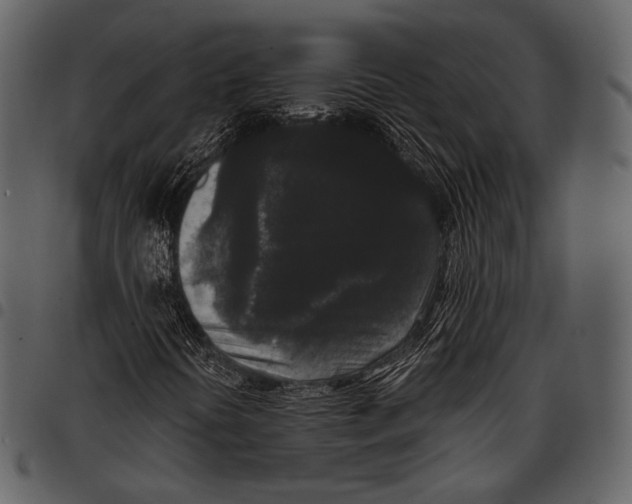 X0000097501394200803201542