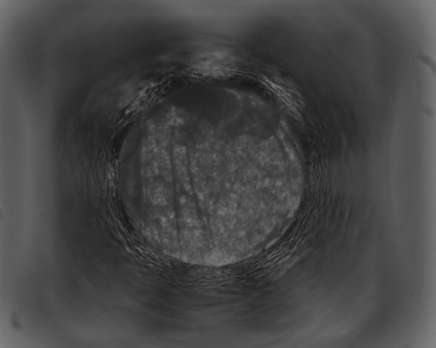 X0000097501397200803201542