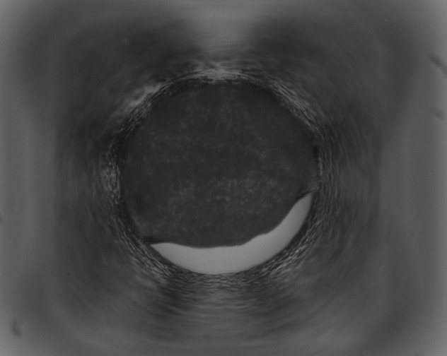 X0000097501398200803201542
