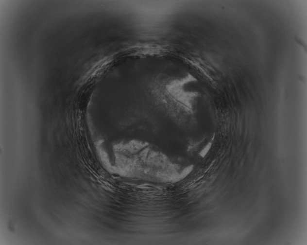 X0000097501399200803201542