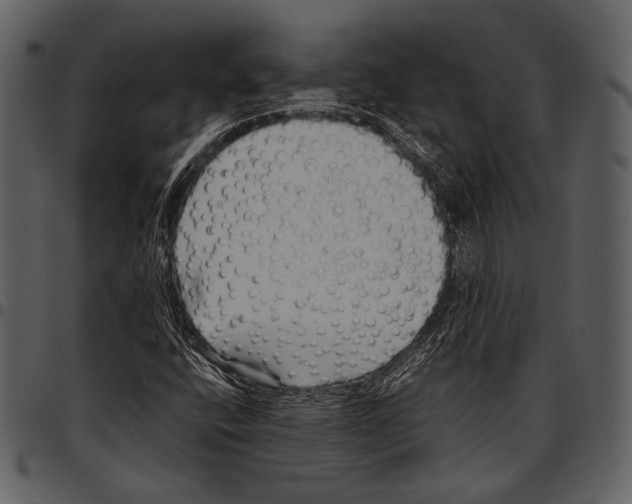 X0000097501400200803201542