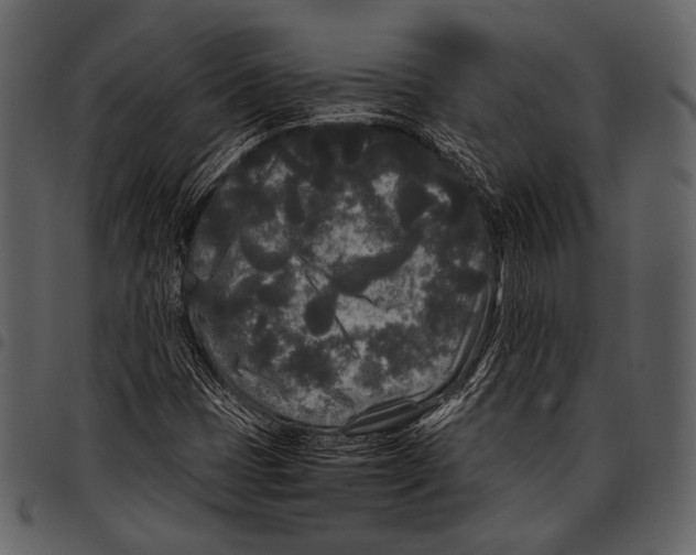 X0000097501401200803201542