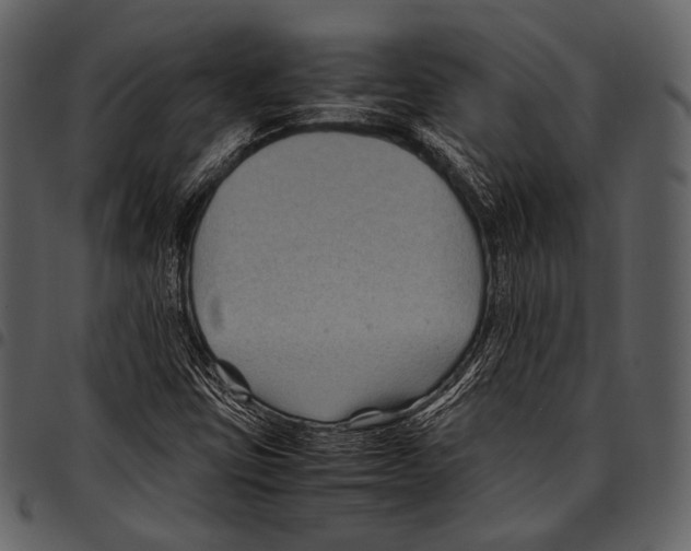 X0000097501403200803201542