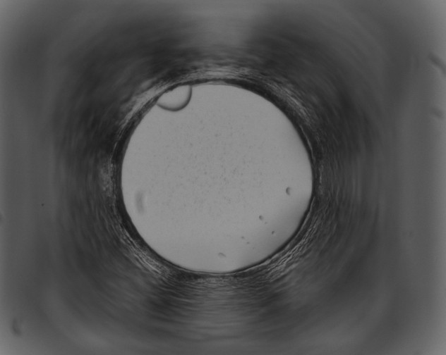 X0000097501404200803201542