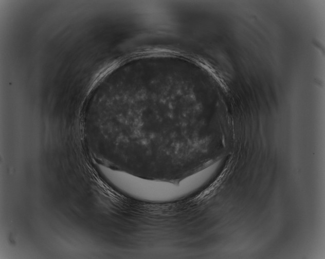 X0000097501405200803201542