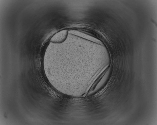 X0000097501406200803201542