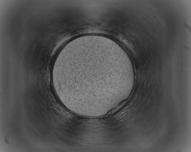 X0000097501408200803201542
