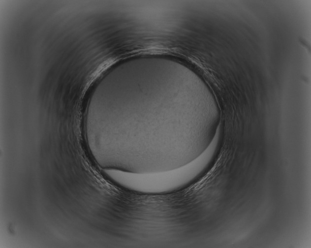 X0000097501410200803201542