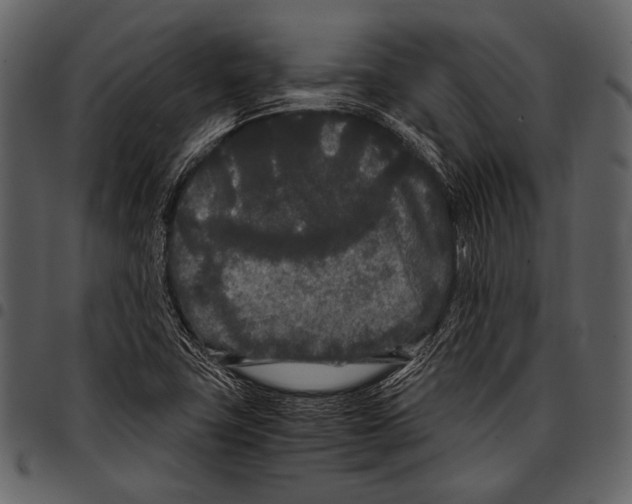 X0000097501411200803201542