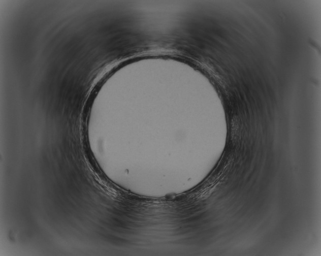 X0000097501412200803201542