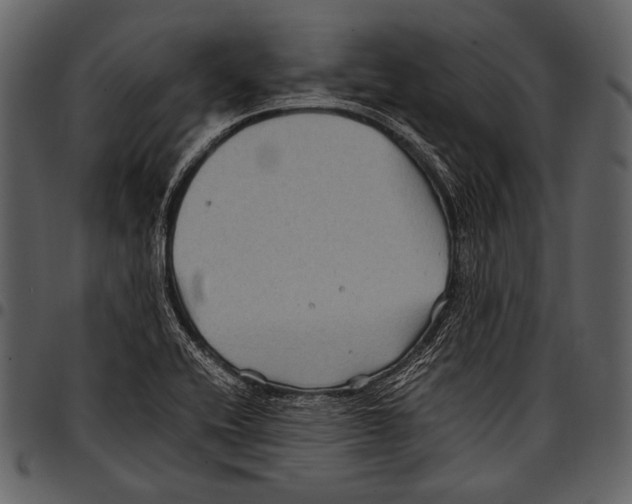 X0000097501416200803201542