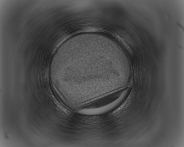 X0000097501417200803201542