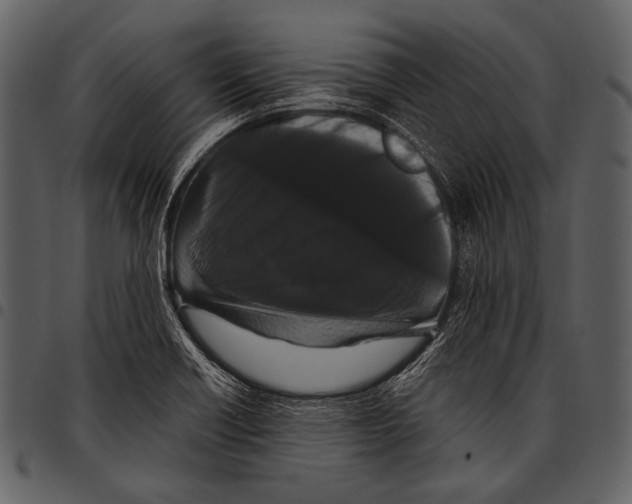 X0000097501418200803201542