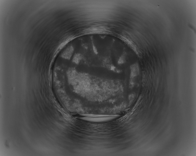 X0000097501419200803201542