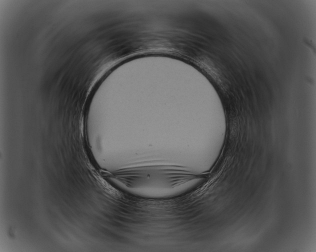X0000097501420200803201542