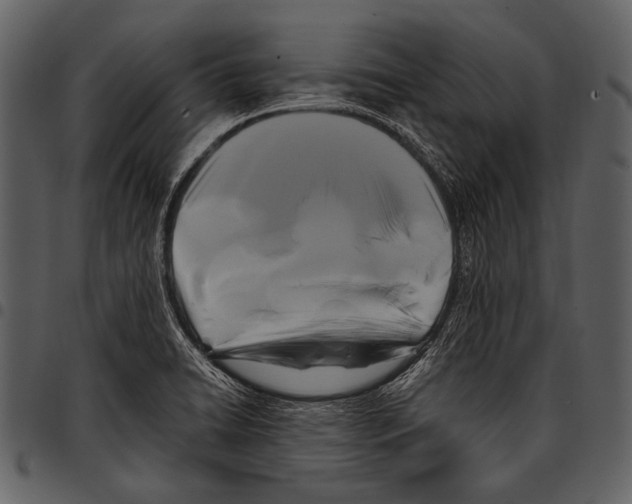 X0000097501422200803201542