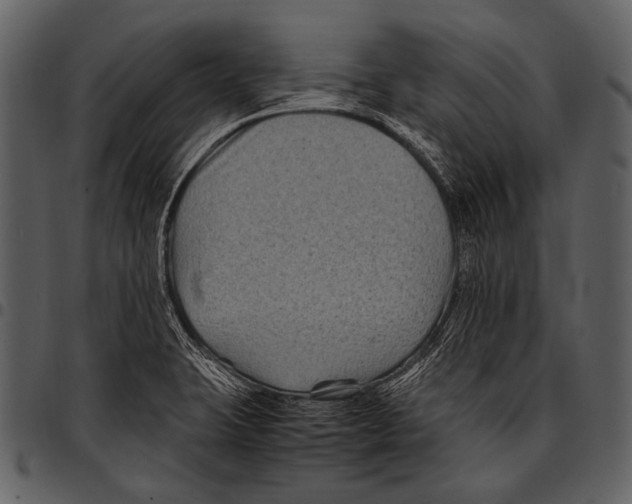 X0000097501423200803201542