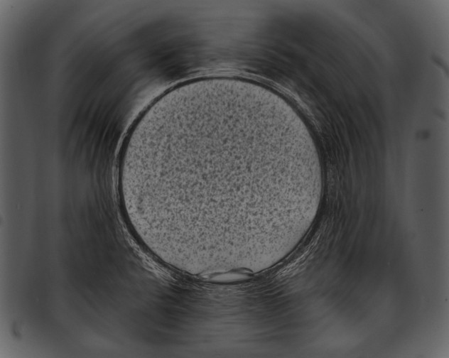 X0000097501424200803201542