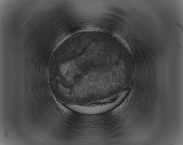 X0000097501425200803201542