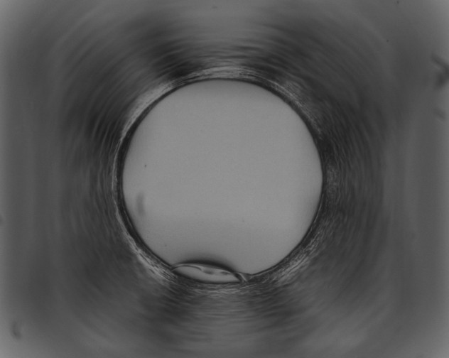 X0000097501426200803201542