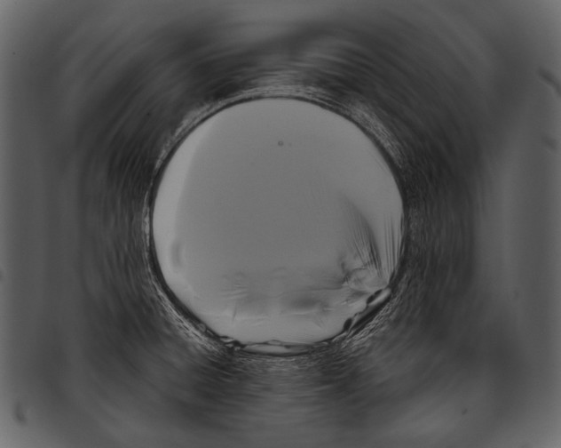 X0000097501428200803201542