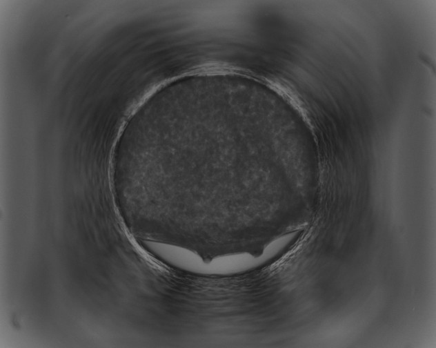 X0000097501429200803201542