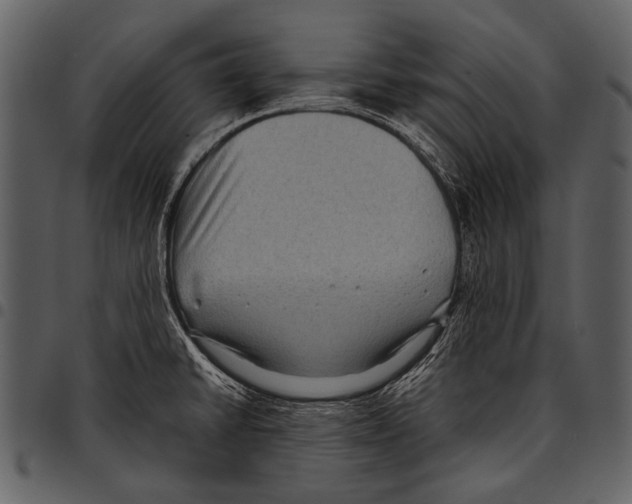 X0000097501430200803201542