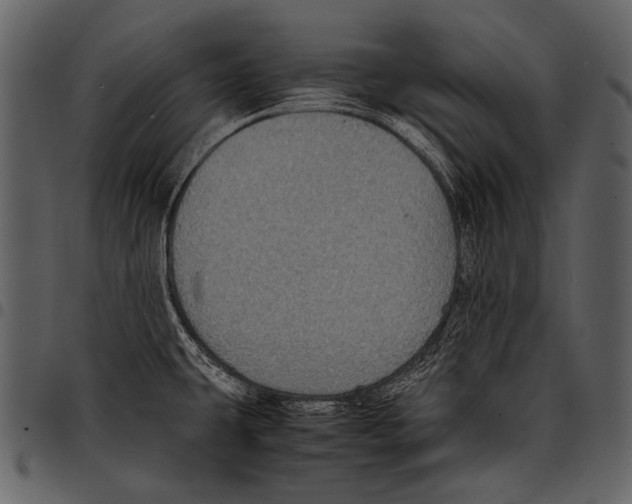 X0000097501431200803201542
