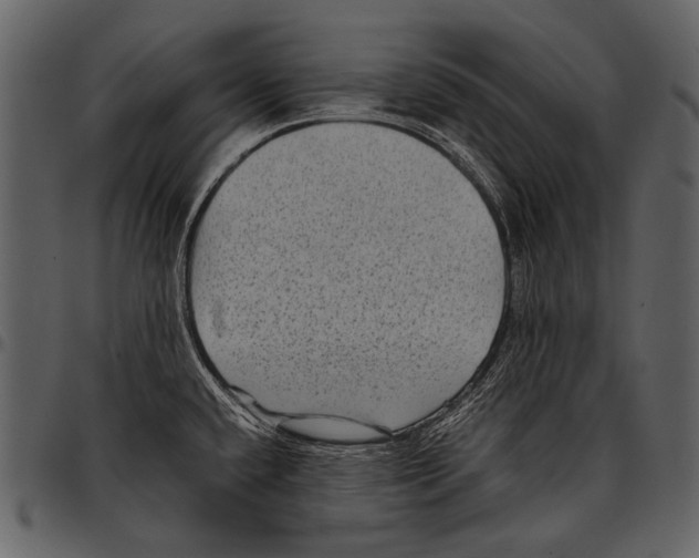 X0000097501432200803201542