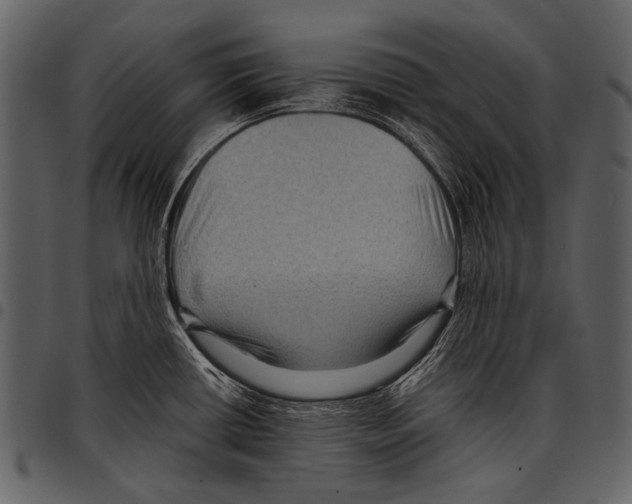 X0000097501434200803201542